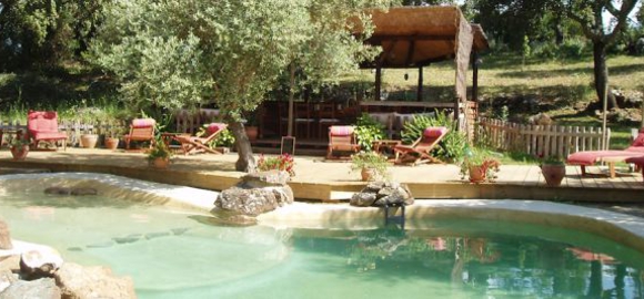 Afghani, The Hoopoe Yurt Hotel, Andalucia, Spain