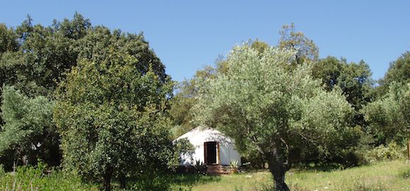 Afghani, The Hoopoe Yurt Hotel, Andalucia, Spain
