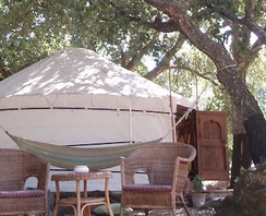 Jaipur Yurt
