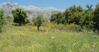 Maimani, The Hoopoe Yurt Hotel, Andalucia, Spain