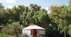 Mongolian, The Hoopoe Yurt Hotel, Andalucia, Spain