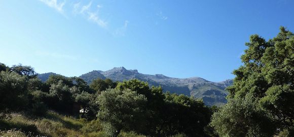 Safari Yurt, The Hoopoe Yurt Hotel, Andalucia, Spain