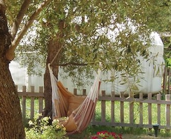 Safari Yurt