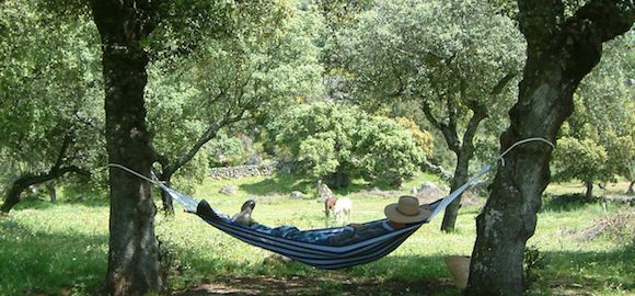 Badra, Campo del Moro, Spain