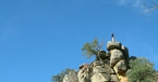 Badra, Campo del Moro, Spain