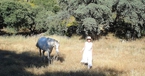 Badra, Campo del Moro, Spain