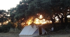 Badra, Campo del Moro, Spain
