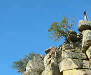 Campo del Moro