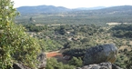 Zahra, Campo del Moro, Spain