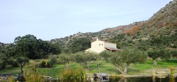 Zahra, Campo del Moro, Spain