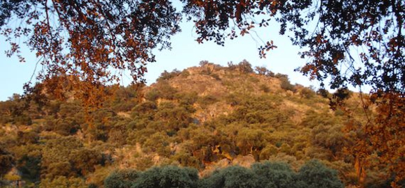 Zahra, Campo del Moro, Spain
