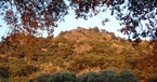 Zahra, Campo del Moro, Spain