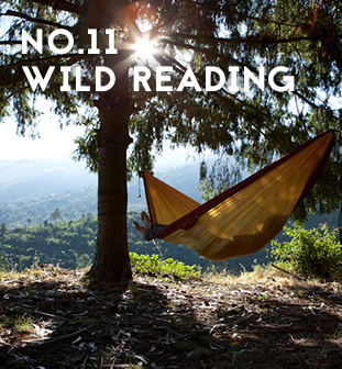 wild-reading