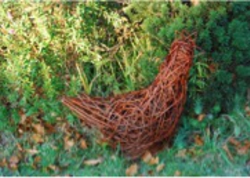 chicken