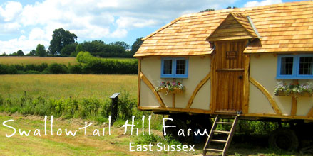 Weddings at Swallowtail Hill Farm