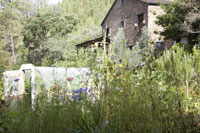 The garden at Yurt Holiday Portugal