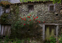 The house at Yurt Holiday Portugal