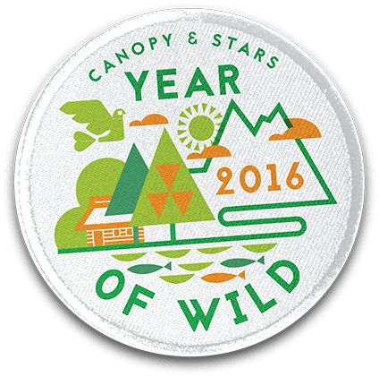 Canopy & Stars Year of wild