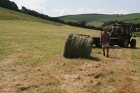 Hay making at West Town Farm