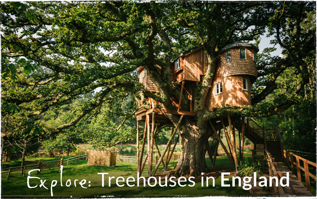 treehouses in england