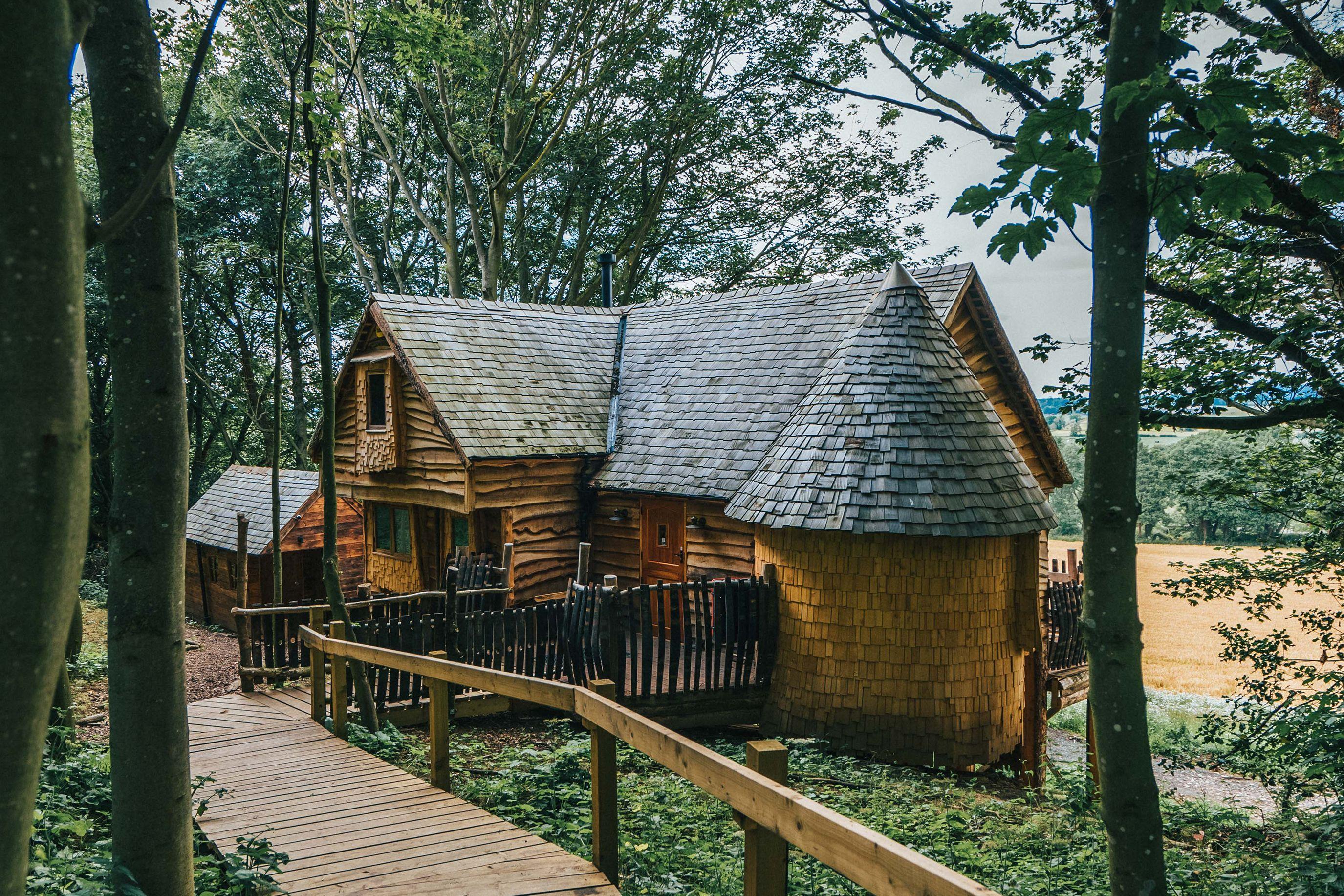 The meaning of (cabin) life, by Jack Boothby Canopy & Stars