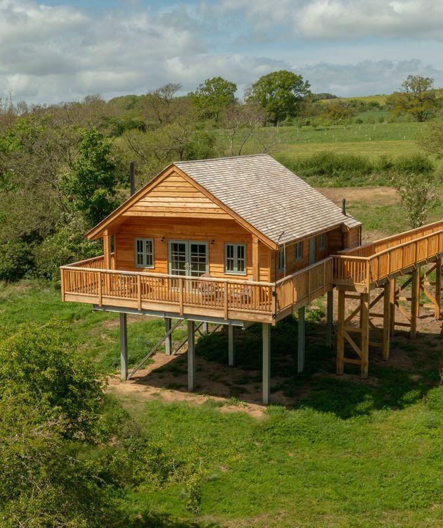 Dog-friendly treehouses in Scotland