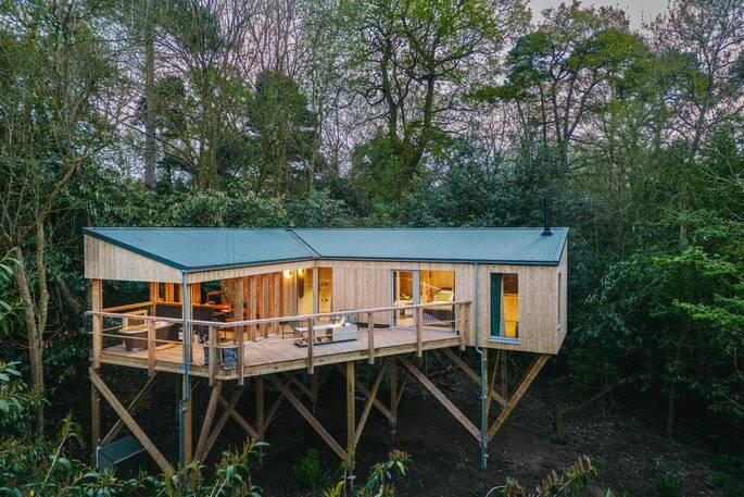 Large treehouse within woodland 