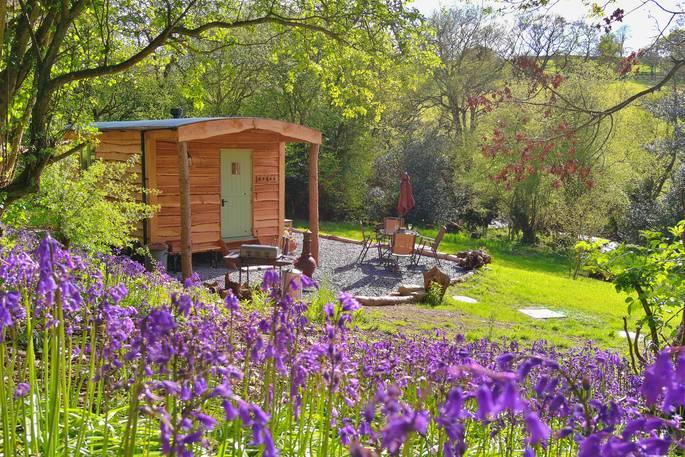 Cabin with purple flowers and outdoor seating 