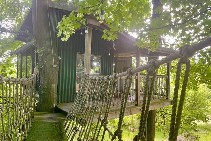 Copse Camp rope ladder in woodland 