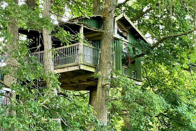 Copse Camp treehouse high in trees with woodland 