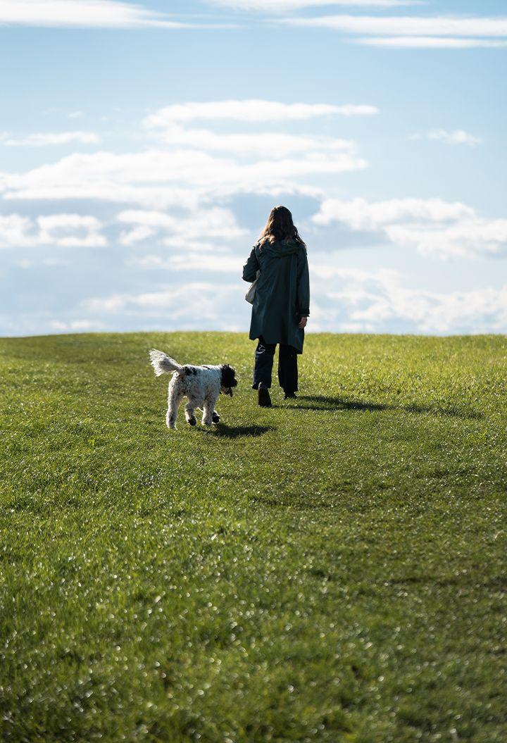 Person and dog walking on grass
