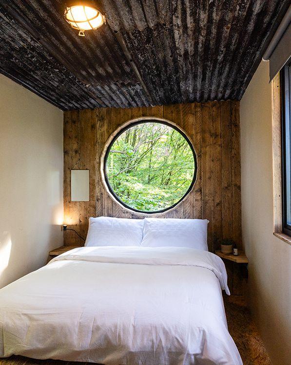 Woodland trees through circle bedroom window