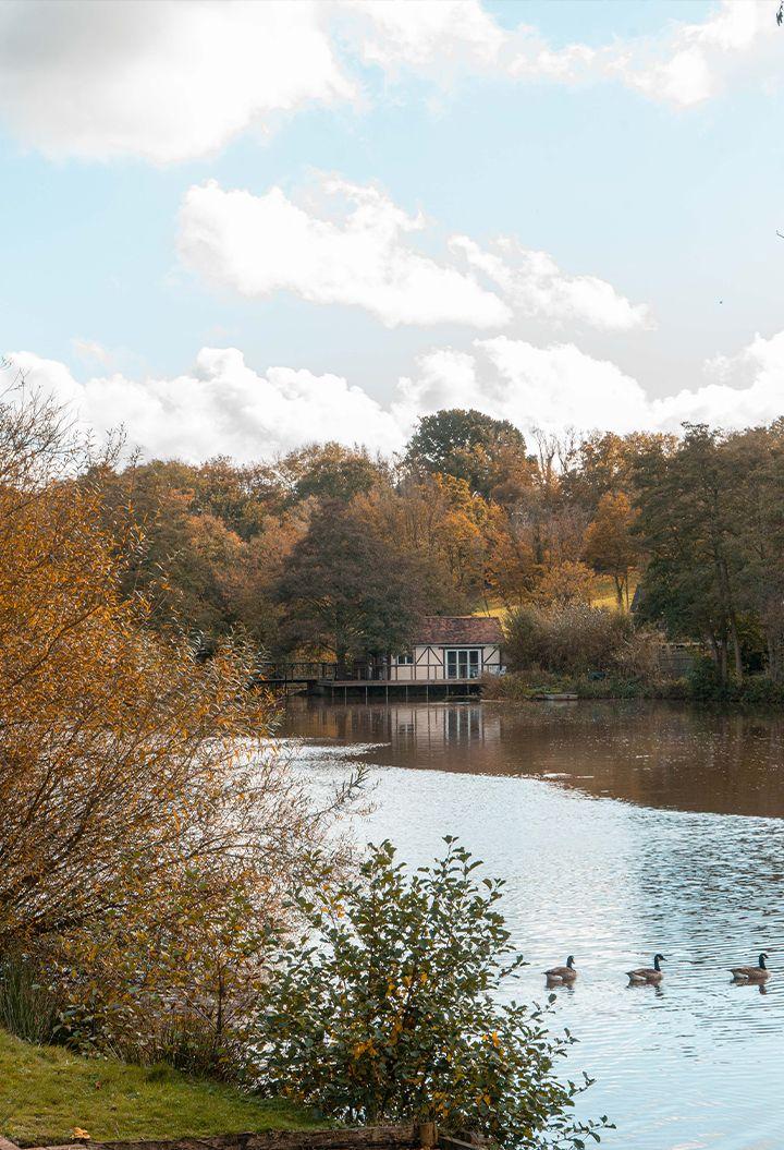 Furnace Brook Lodge exterior with river and ducks