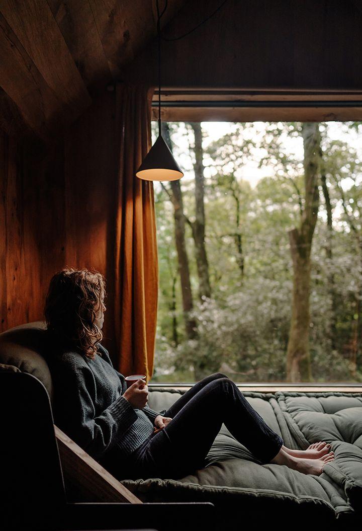 Person sitting at a large window with view of woodlands 