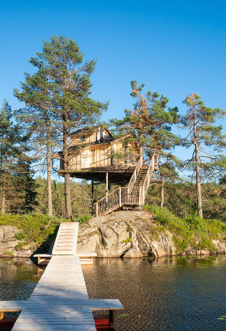 Island Cabin treehouse with woodlands