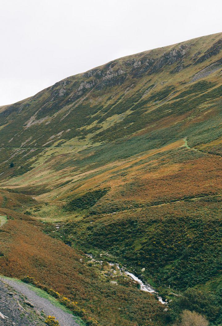 Countryside view with stream 