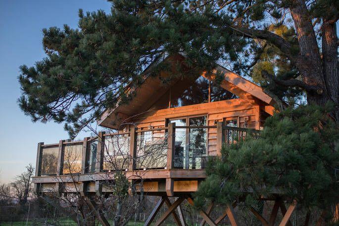 Treehouse with woodland