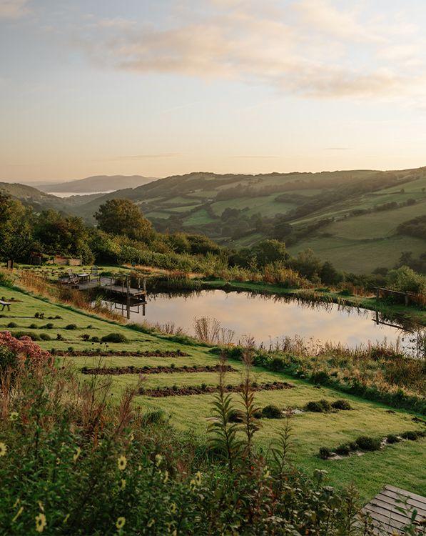 Wild swimming pond