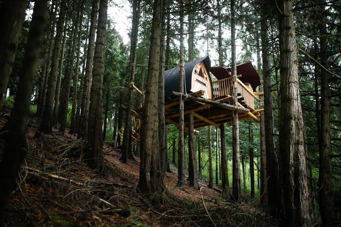 Puckshipton Treehouse suspended in the trees 