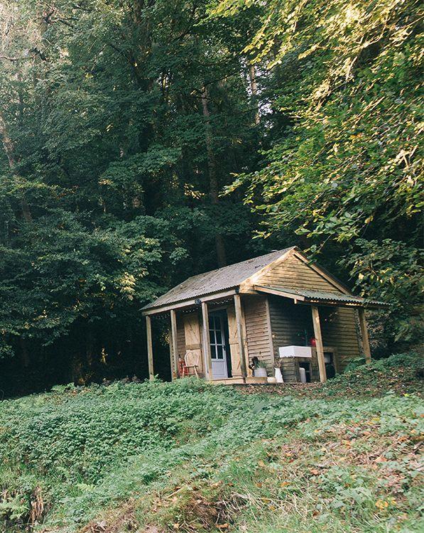 River Dart Cabin with woodland 