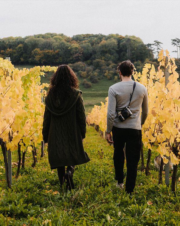 Two people walking through vineyard