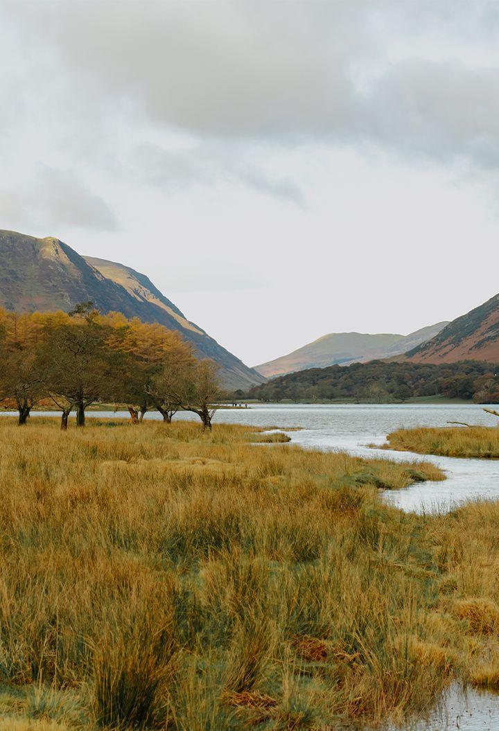 Dynamic rural view with mountains and wetland 