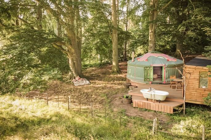 Exterior of yurt surrounded in woodland 