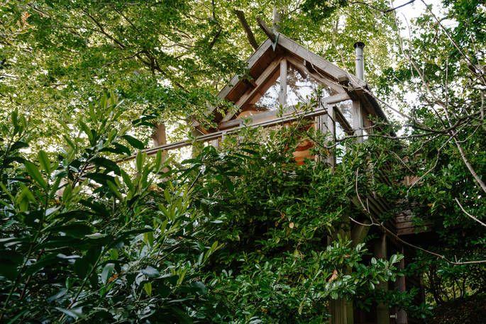 Uplands Treehouse exterior with woodlands