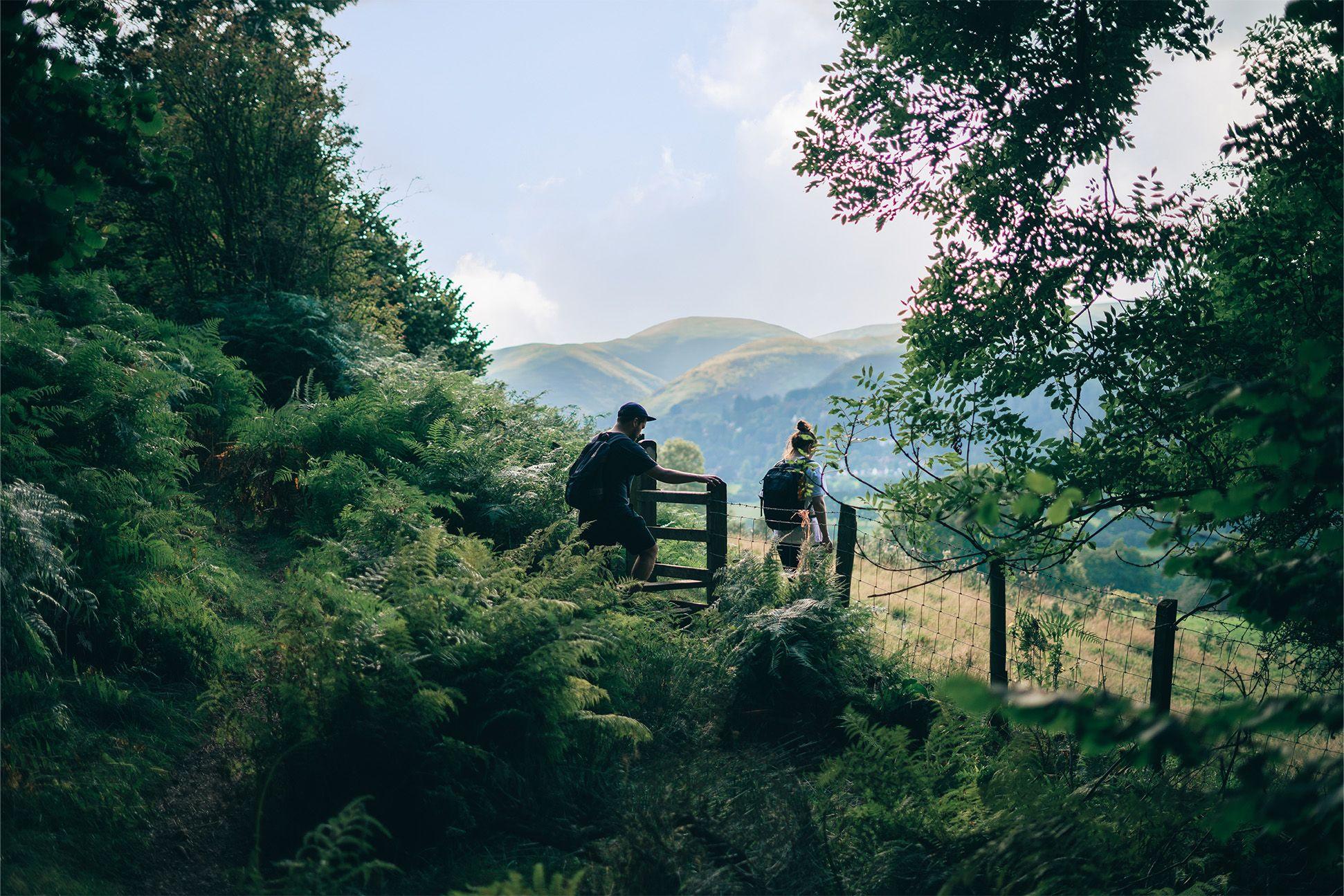 Two people walking through a gate in the woodland 