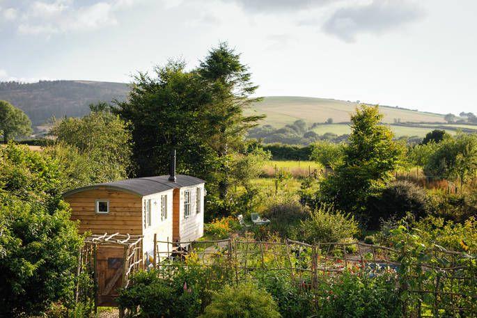 Book Shepherds Hut Spa accommodation at Glampio Gelli Glamping. Best UK  Price Guarantee