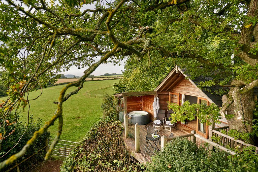 Oakdown Treehouse Treehouse in Wiltshire Canopy  Stars