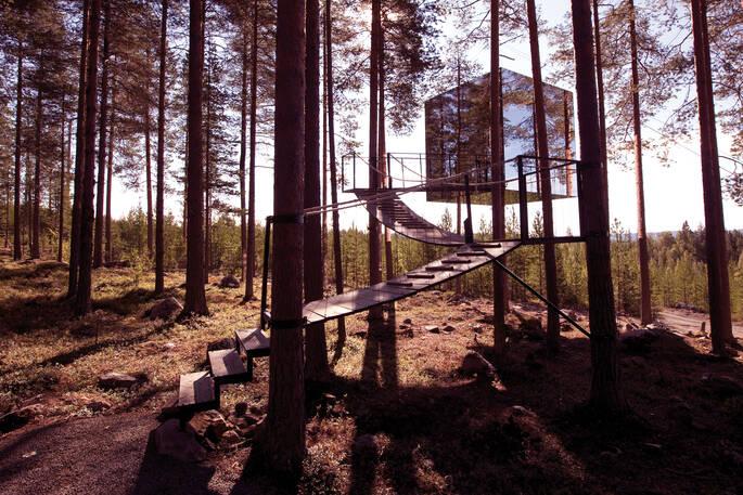 Mirrorcube treehouse in woodland