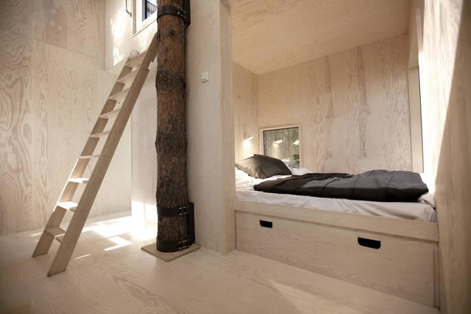 Mirrorcube bedroom with ladder and tree growing through bedroom 