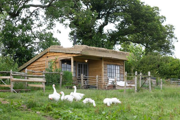 The Gardener's Shed with geese outside the cabin 